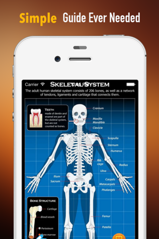 Bone Identification:Human and Nonhuman screenshot 2