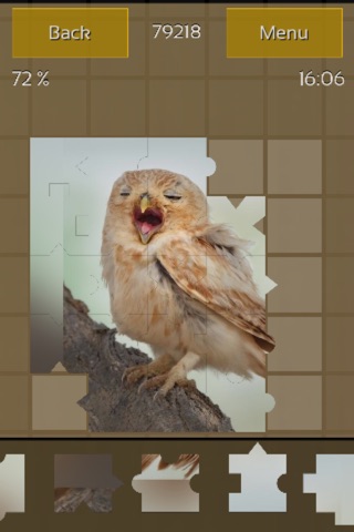 Owls Great Puzzle screenshot 2
