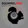 Get REAL Squirrel Calls and Squirrel Sounds for Hunting! for iOS, iPhone, iPad Aso Report