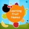 Children can practice to Learn Names of Fruits With Beautiful eye catching Flashcards