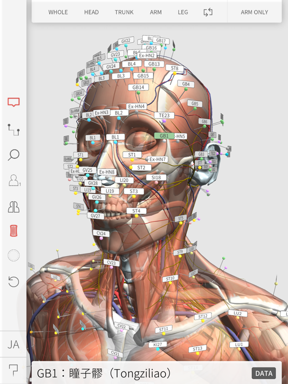 3D Acupointのおすすめ画像2