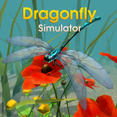 Activities of Dragonfly Simulator