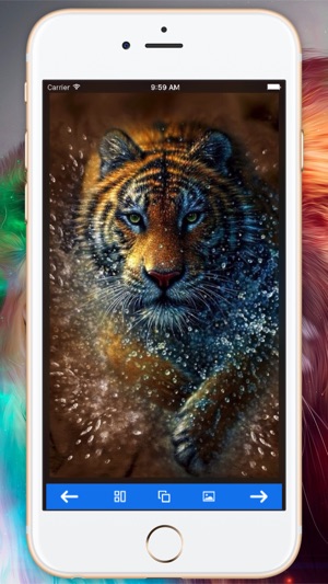 Tiger Backgrounds & Wallpapers(圖1)-速報App