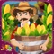 Kid’s corn farming story is a baby corn farming simulator game