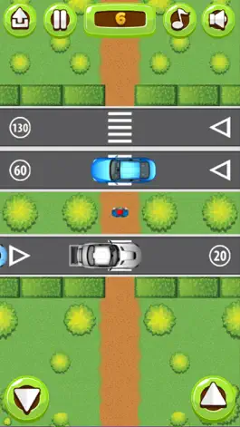 Game screenshot Cross The Road - Traffic Awareness apk