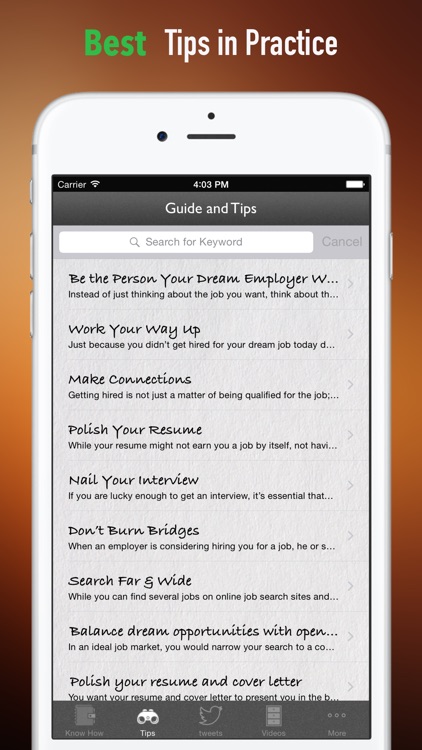 How to Get The Job You Want : Tutorial and tips screenshot-3