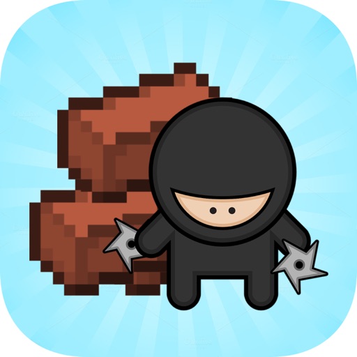 Brick Ninja iOS App
