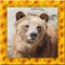 Baby Bear Simulator 3D