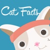 Cat Runner Facts