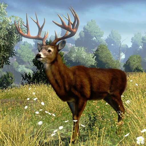 Deer Hunting Simulator 2016 iOS App