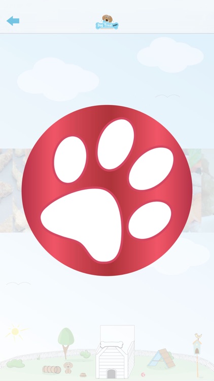 Dog Treat Delights