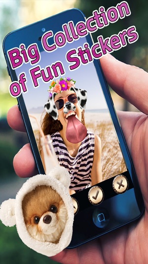 Animal Stickers Swap and Morph (Dog Face Maker)(圖1)-速報App