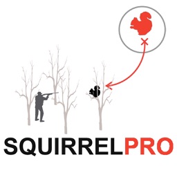 Squirrel Hunting Strategy - Squirrel Hunter Plan