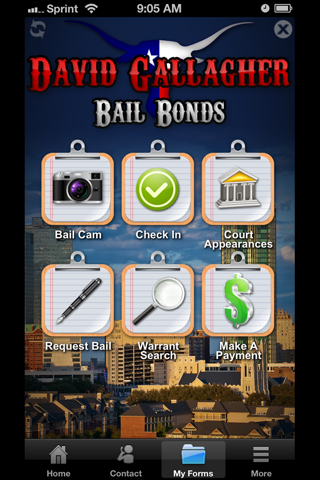 David Gallagher Bail Bonds screenshot 4