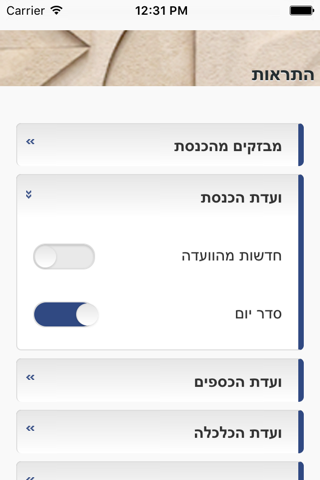 הכנסת screenshot 2