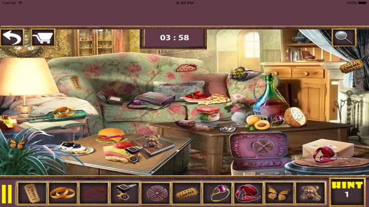Princess Bride Hidden Object screenshot-4