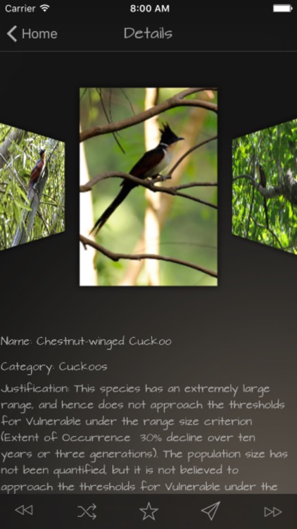 Cuckoos Database