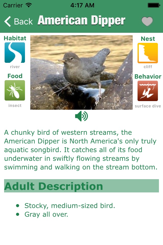 Bird Guide - Offline bird identification app screenshot 3