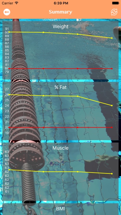 Measurement - Weight, %Fat and Muscle Mass