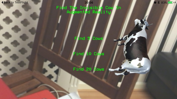Find The Invisible Cows In Augmented Reality