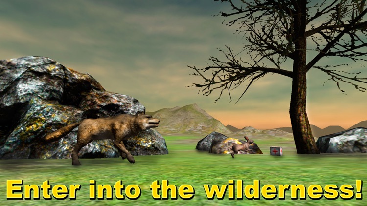 Wild Wolf Survival Simulator 3D