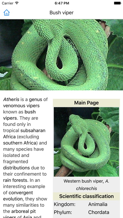 CHI Encyclopedia of Snakes screenshot-4