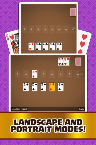 Double Rail Classic Card Game For Fun screenshot 3