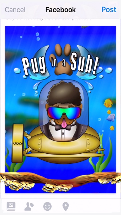 Pug in a Sub