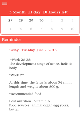 Pregnancy Notes screenshot 2