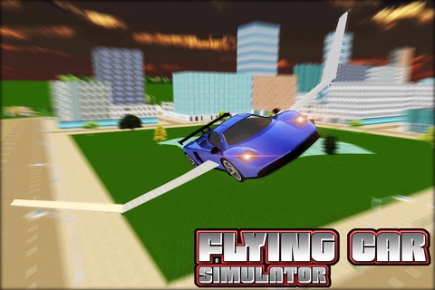 Flying Car Sim 3D screenshot 3