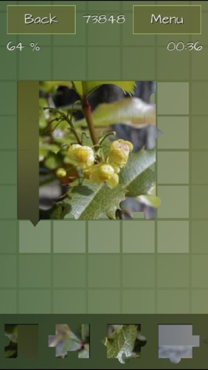 Medicinal Plants Jigsaw Puzzles(圖4)-速報App