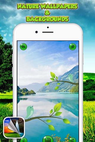 Nature Wallpapers & Backgrounds – Beautiful Landscape Photo.s and Scenery Themes screenshot 2