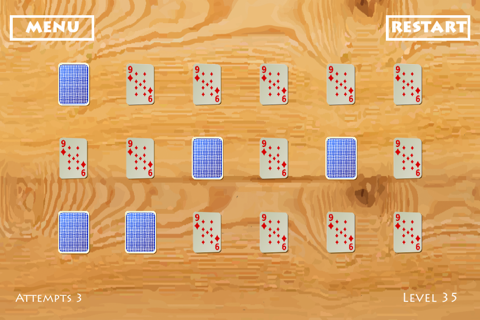 Free Puzzle : Ikka the ACE screenshot 2