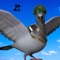 VR Spy Pigeon Secret Mission