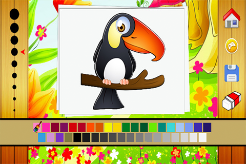 Birds Coloring Book - Drawing and Painting Colorful for kids games free screenshot 2