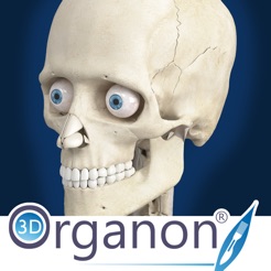 Mac用3d人体模型アプリ 3d Organon Anatomy の無料版がリリース pl Ch