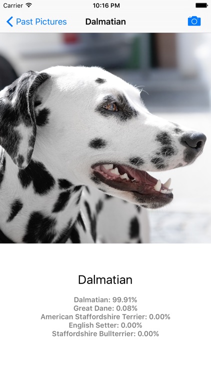 Dog Breed Identifier - Automatically identify a dog breed from a photo