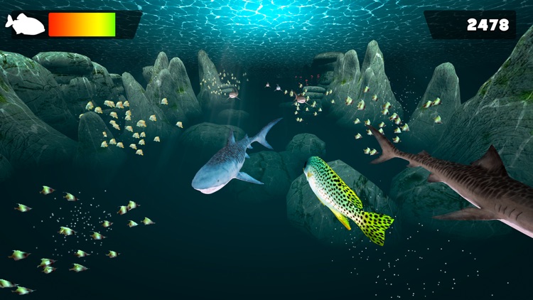 Fun Fish Simulator | 3D Fish Swimming Games (Full Version) screenshot-4