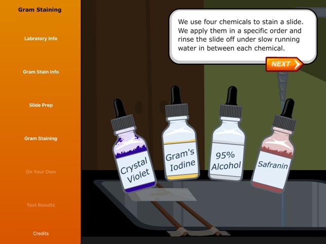 Virtual Labs: Gram Staining(圖4)-速報App