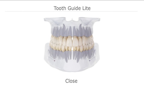 Tooth Guide Lite screenshot 3