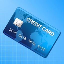 Credit Cards and Cheques Keeper