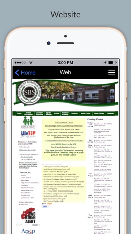 Shrewsbury Borough School