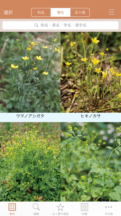 野に咲く花(山溪ハンディ図鑑)
