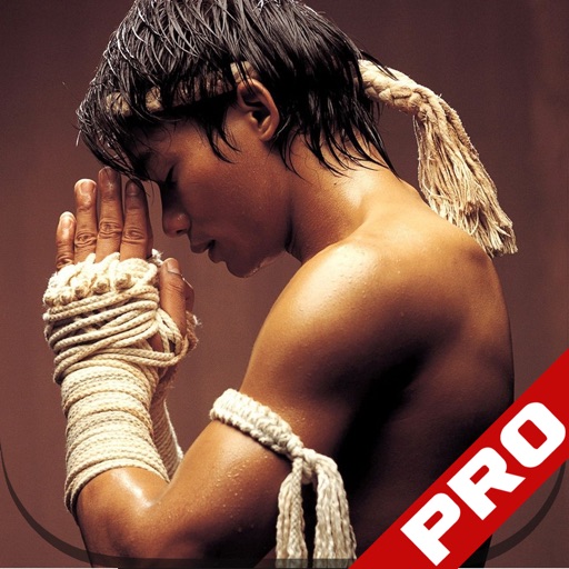 Muay Thai Kickboxing Submission Self Defense Martial Arts icon