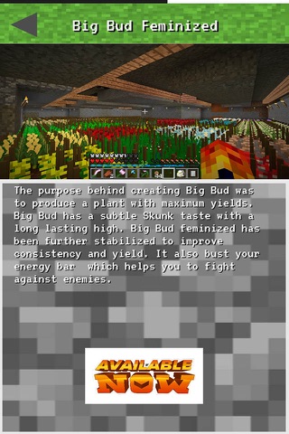Marijuana Mod for Minecraft PC - Amazing Guide screenshot 2