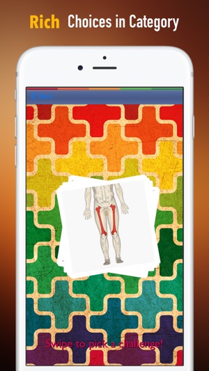 Memorize Human Anatomy Bones by Sliding Tiles Puzzle: Learni(圖2)-速報App