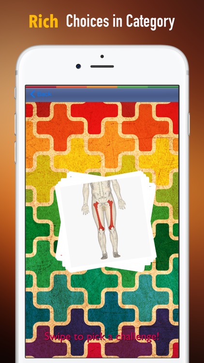 Memorize Human Anatomy Bones by Sliding Tiles Puzzle: Learning Becomes Fun