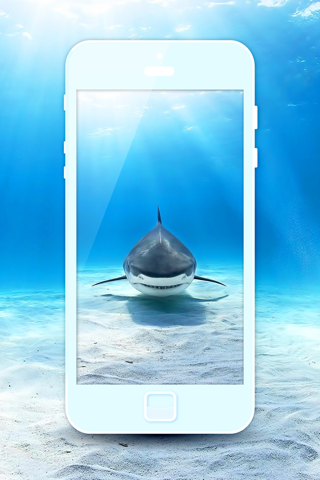 Underwater Wallpaper Gallery - Beautiful Sea Animals Backgrounds & Aquarium Lock-Screen.s screenshot 3