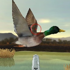 Activities of Duck Hunter - Free duck hunting games, duck hunt simulator