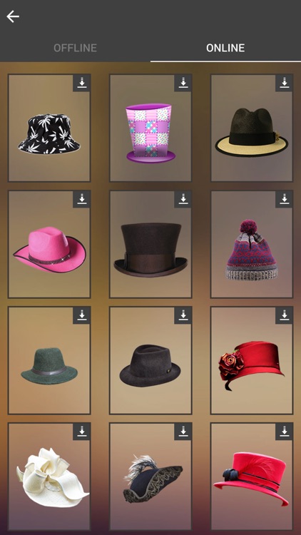 Hats Photo Montage screenshot-4